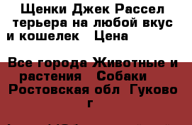 Щенки Джек Рассел терьера на любой вкус и кошелек › Цена ­ 13 000 - Все города Животные и растения » Собаки   . Ростовская обл.,Гуково г.